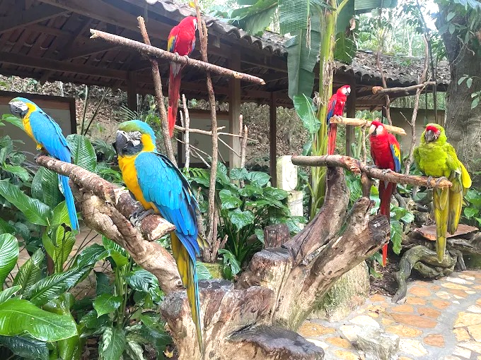 Honduras