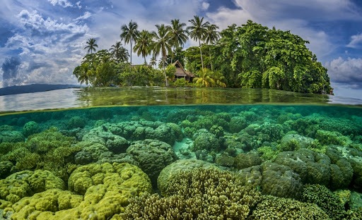 Solomon islands