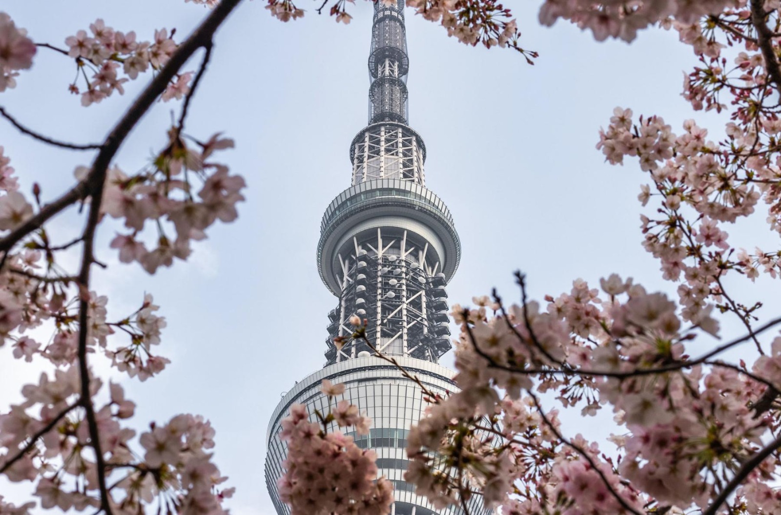 South Korea