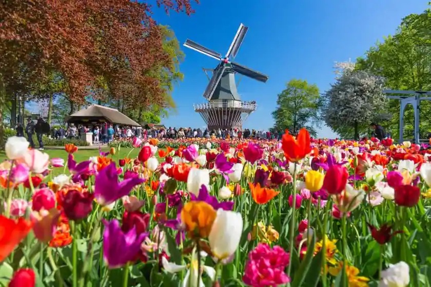 Netherlands