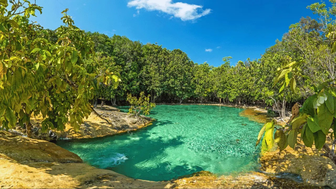 Dominica