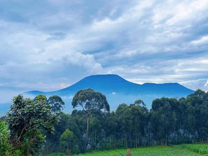 Democratic Republic of the Congo